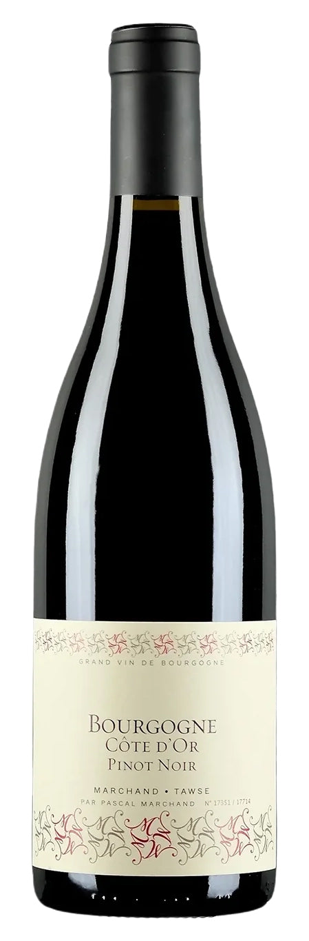Marchand-Tawse Bourgogne Cote d'Or Pinot Noir 2020  Front Bottle Shot