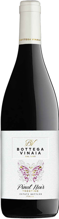 Bottega Vinaia Pinot Noir 2021  Front Bottle Shot