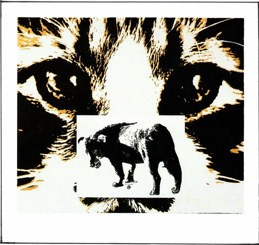 Sine Qua Non Chimere Chateauneuf-du-Pape (1.5 Liter Magnum in OWC) 2019