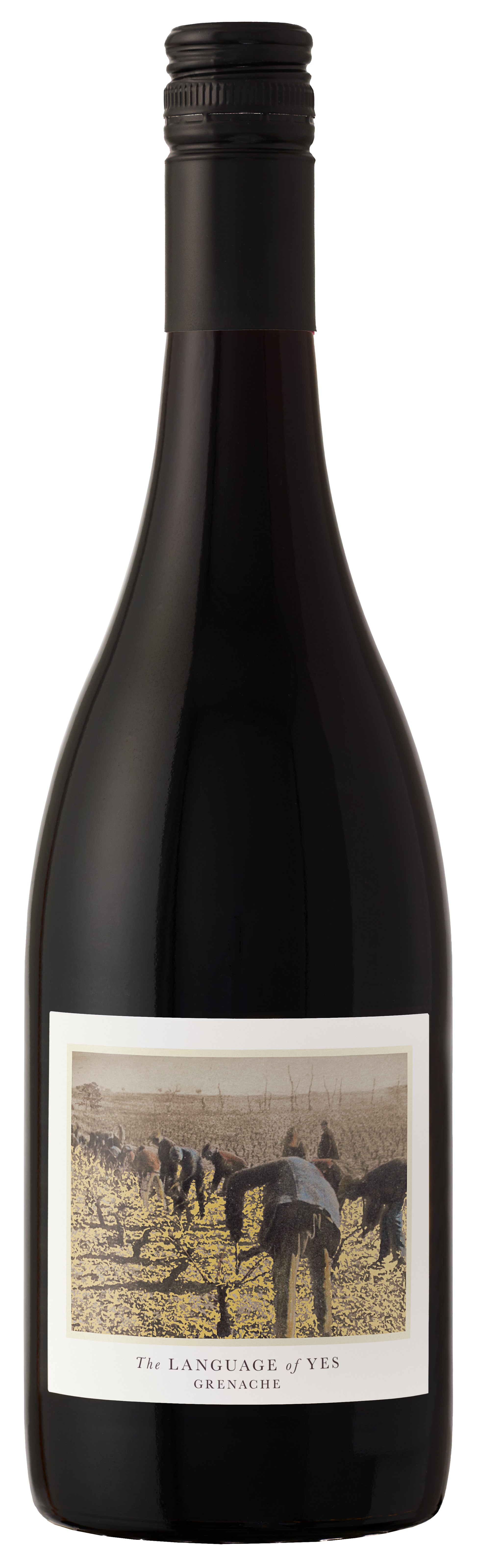 The Language of Yes Grenache 2022  Front Bottle Shot