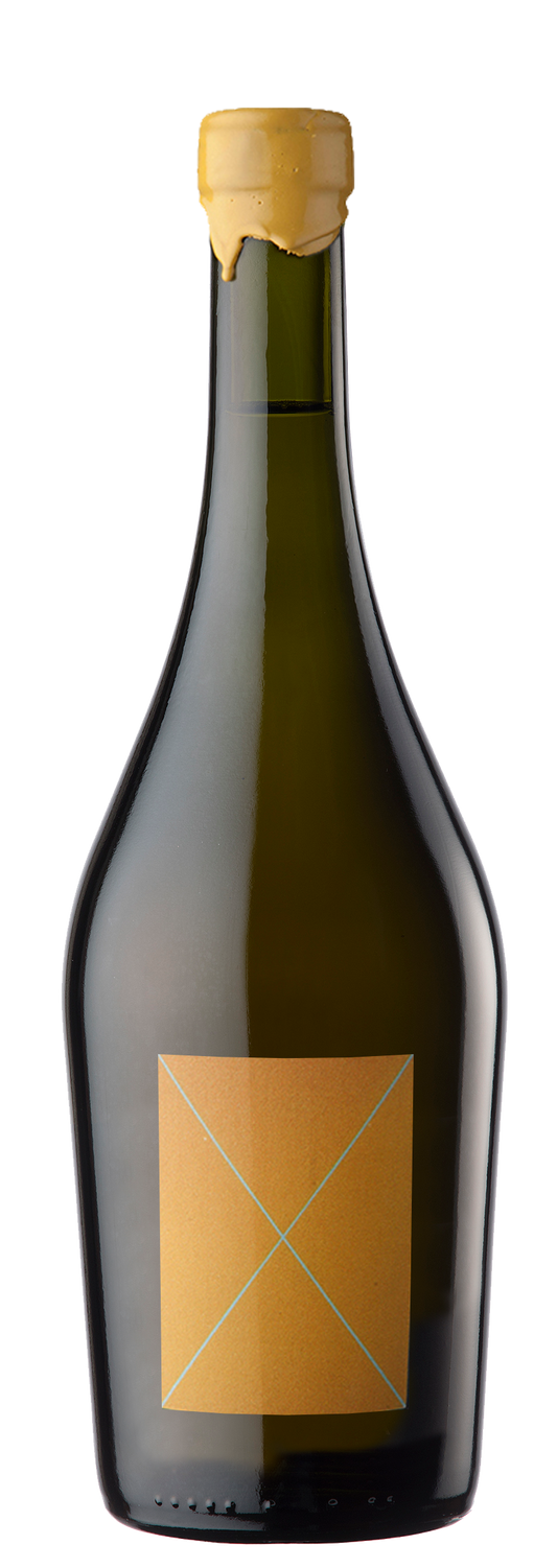 Stella Crinita Barbera 2022  Front Bottle Shot