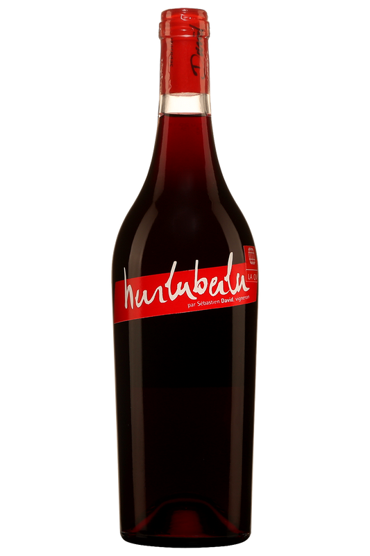 Sebastien David Saint Nicolas de Bourgueil Hurluberlu 2023  Front Bottle Shot