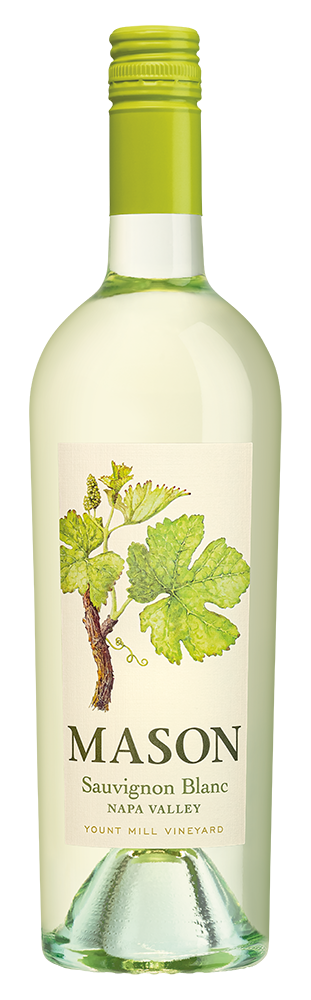 Mason Napa Valley Sauvignon Blanc 2023  Front Bottle Shot