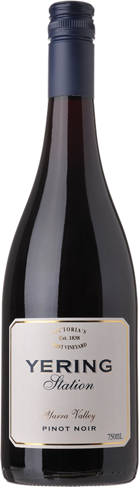 Yering Station Pinot Noir 2020  Front Bottle Shot