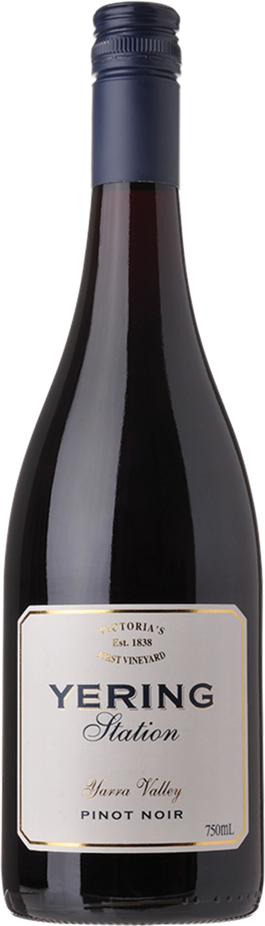 Yering Station Pinot Noir 2020  Front Bottle Shot