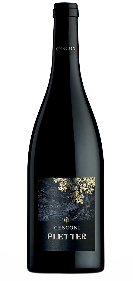Cesconi Trentino Pletter Lagrein 2021  Front Bottle Shot