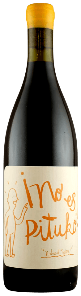 Echeverria No Es Pituko Natural Wine Cabernet Franc 2023  Front Bottle Shot