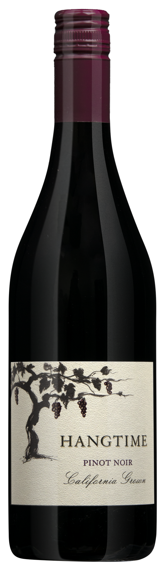 Hangtime Pinot Noir 2023  Front Bottle Shot
