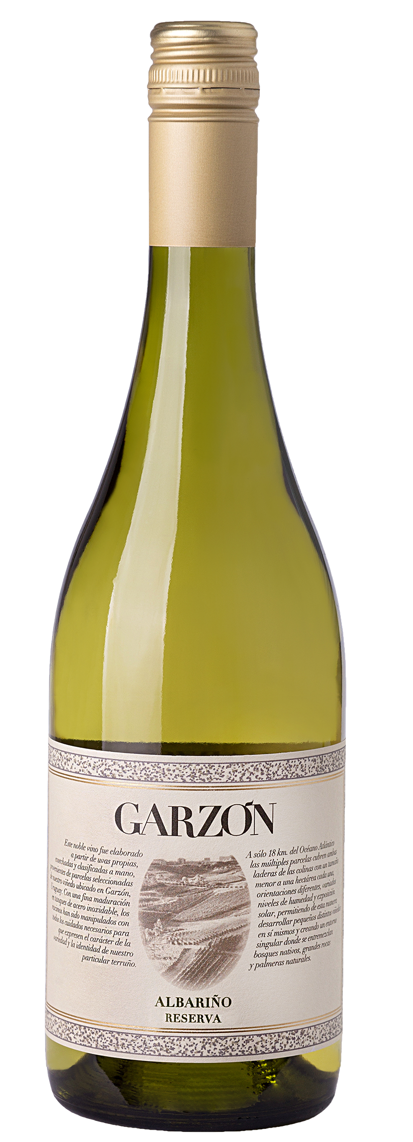 Bodega Garzon Uruguay Reserva Albarino 2024  Front Bottle Shot