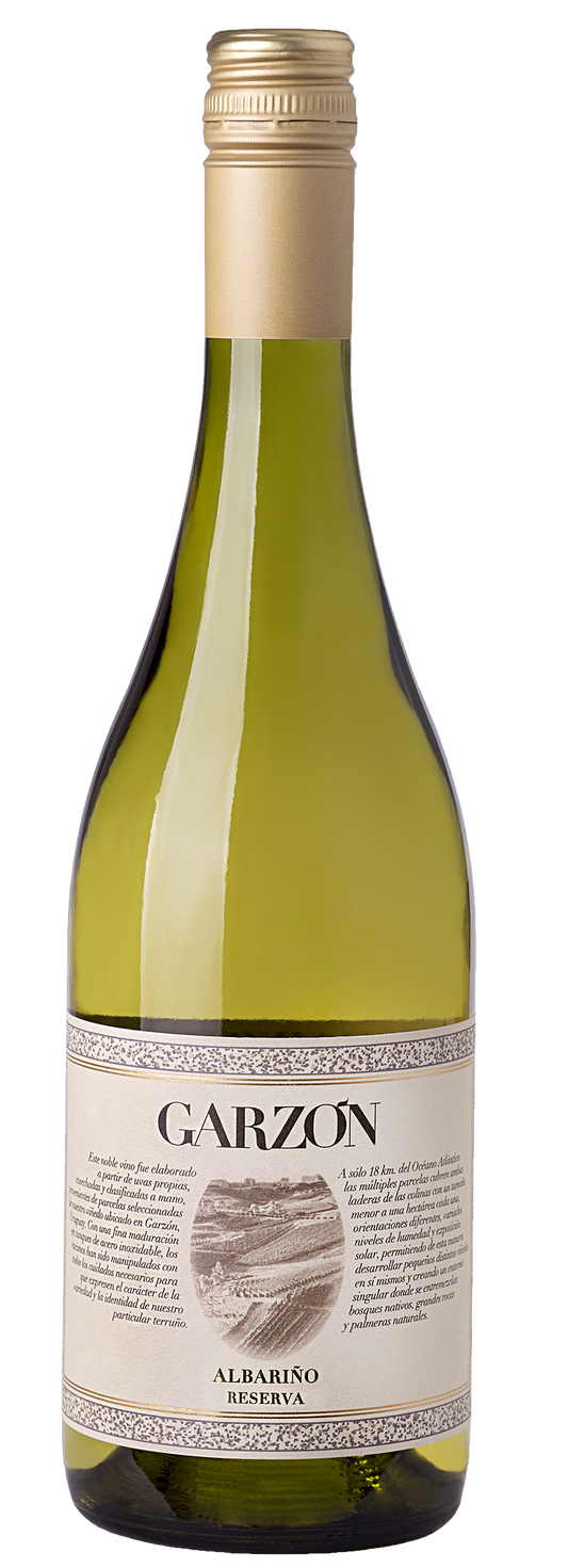 Bodega Garzon Uruguay Reserva Albarino 2024  Front Bottle Shot