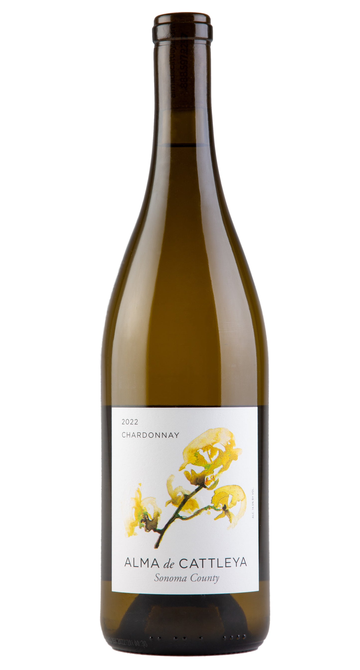 Alma de Cattleya Chardonnay 2022  Front Bottle Shot
