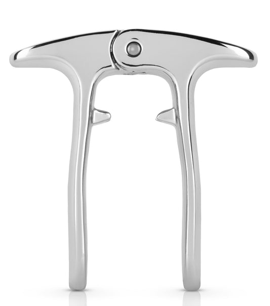 Viski Silver Champagne Puller