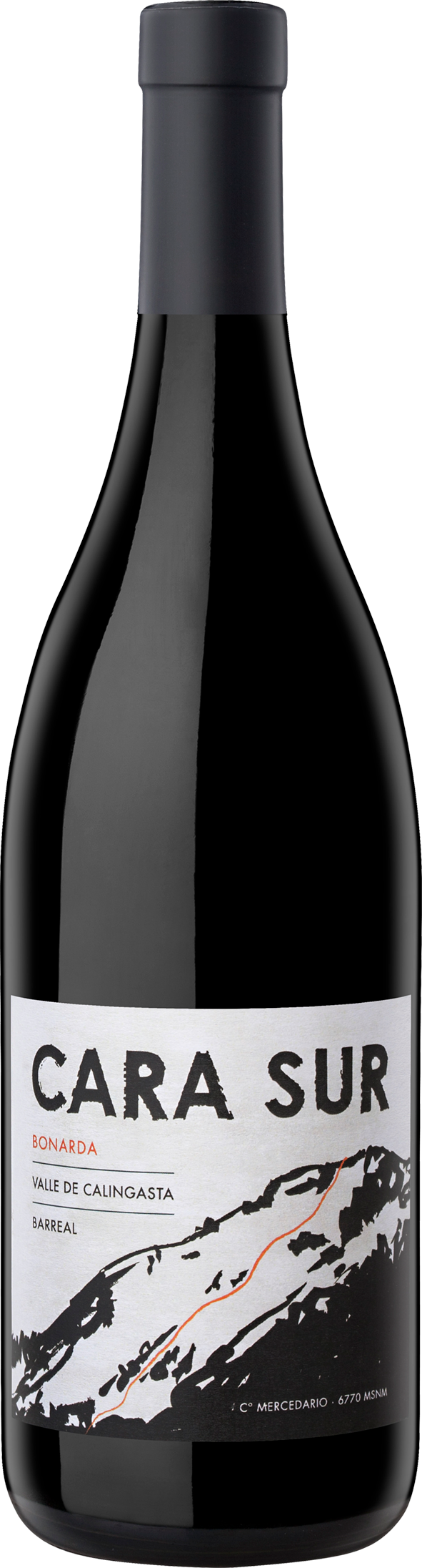 Cara Sur Tinto 2022  Front Bottle Shot
