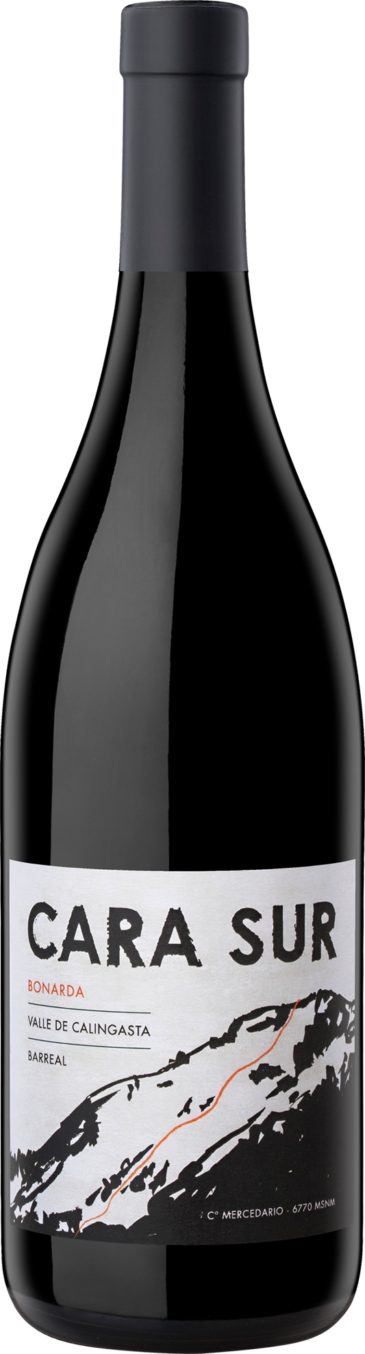 Cara Sur Tinto 2022  Front Bottle Shot