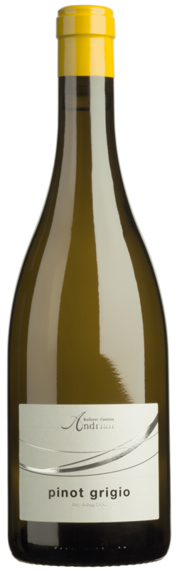 Cantina Andrian Pinot Grigio 2022  Front Bottle Shot