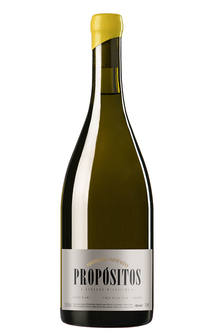 Michelini I Mufatto Propositos Chenin Blanc 2021  Front Bottle Shot