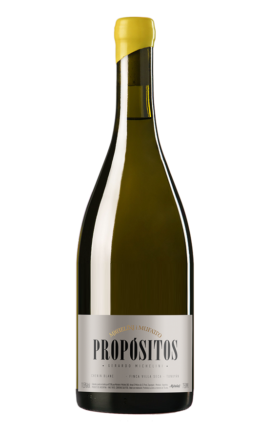 Michelini I Mufatto Propositos Chenin Blanc 2021  Front Bottle Shot