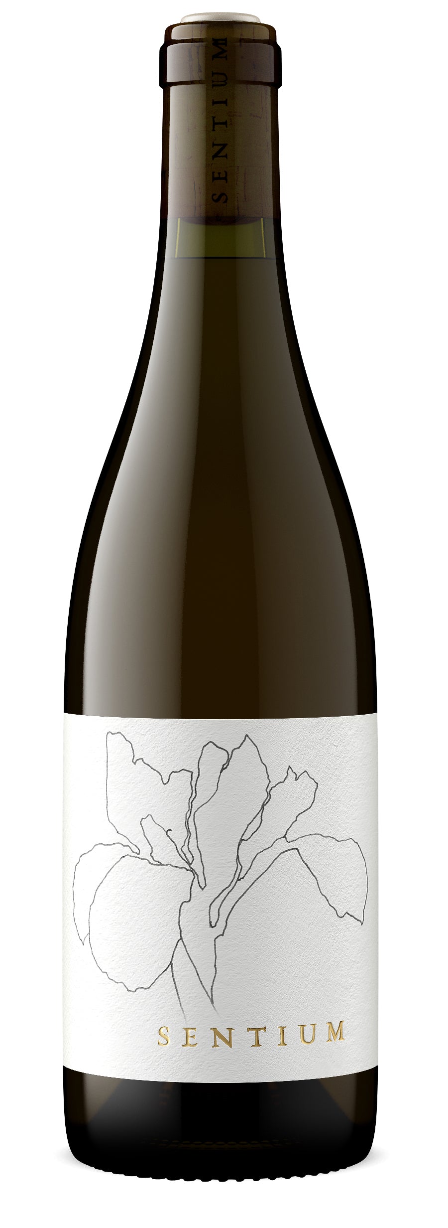 Sentium Sauvignon Blanc 2022  Front Bottle Shot