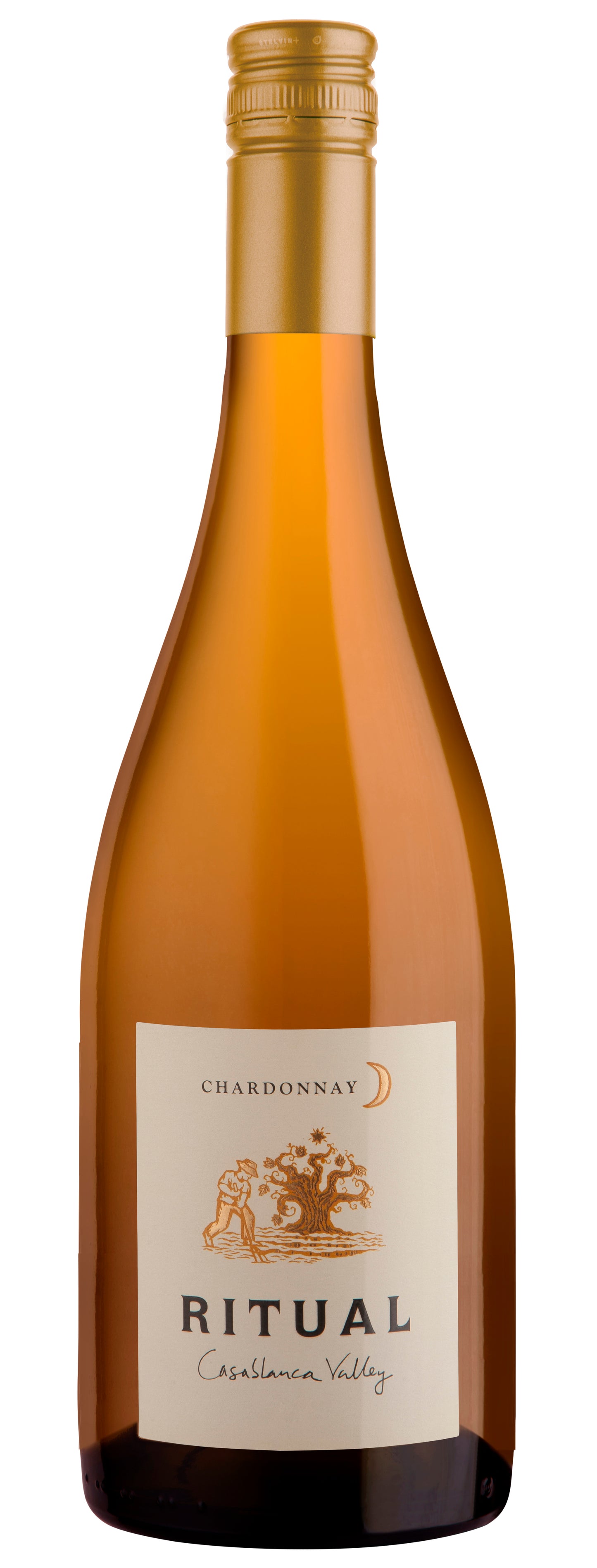 Ritual Casablanca Valley Chardonnay 2019  Front Bottle Shot