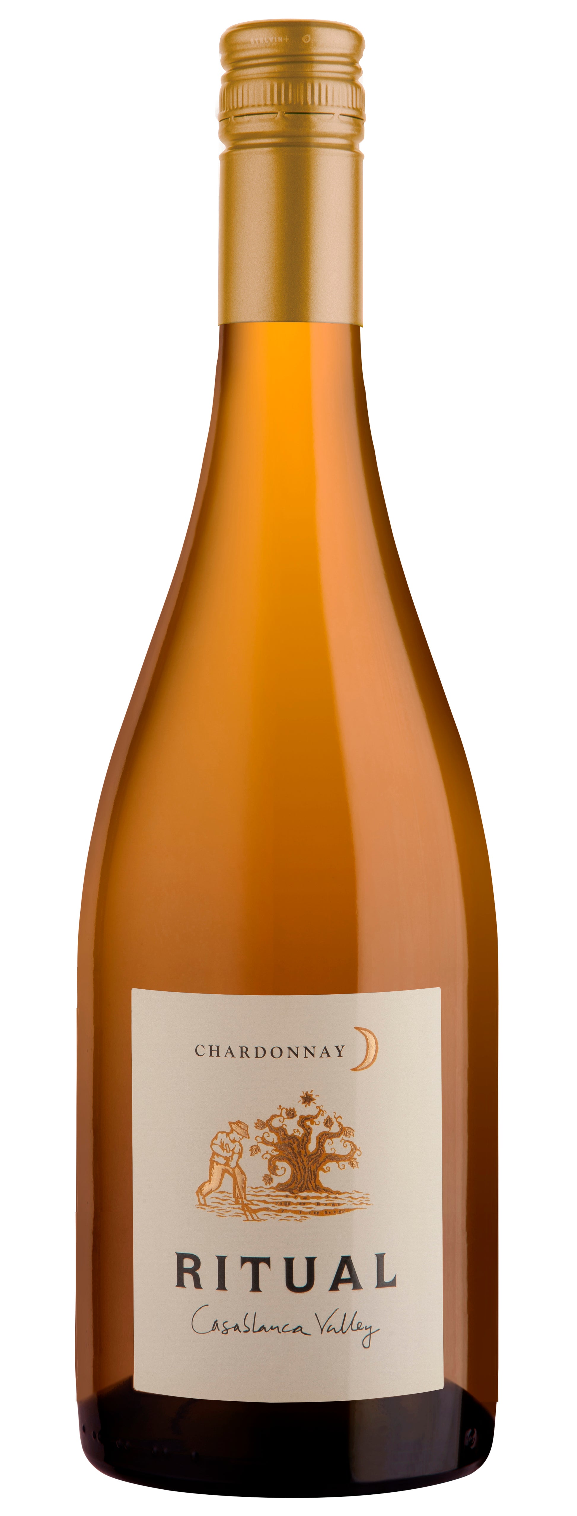 Ritual Casablanca Valley Chardonnay 2019  Front Bottle Shot