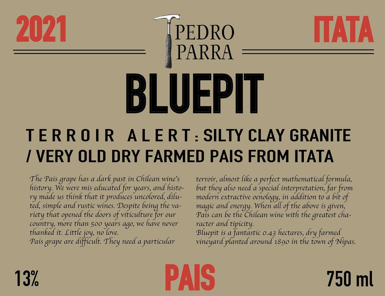 Pedro Parra BLUEPIT 2021