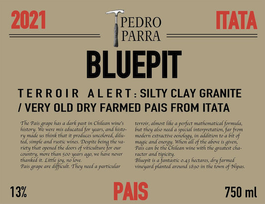 Pedro Parra BLUEPIT 2021