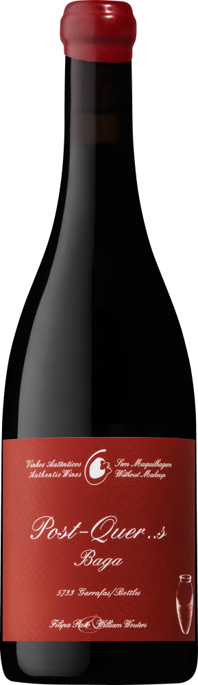 Filipa Pato Post-Quercus Baga Tinto 2023  Front Bottle Shot