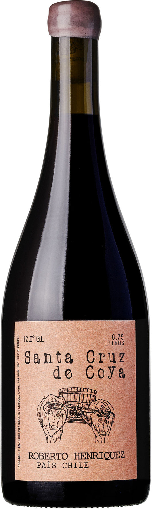 Roberto Henriquez Santa Cruz de Coya 2021  Front Bottle Shot