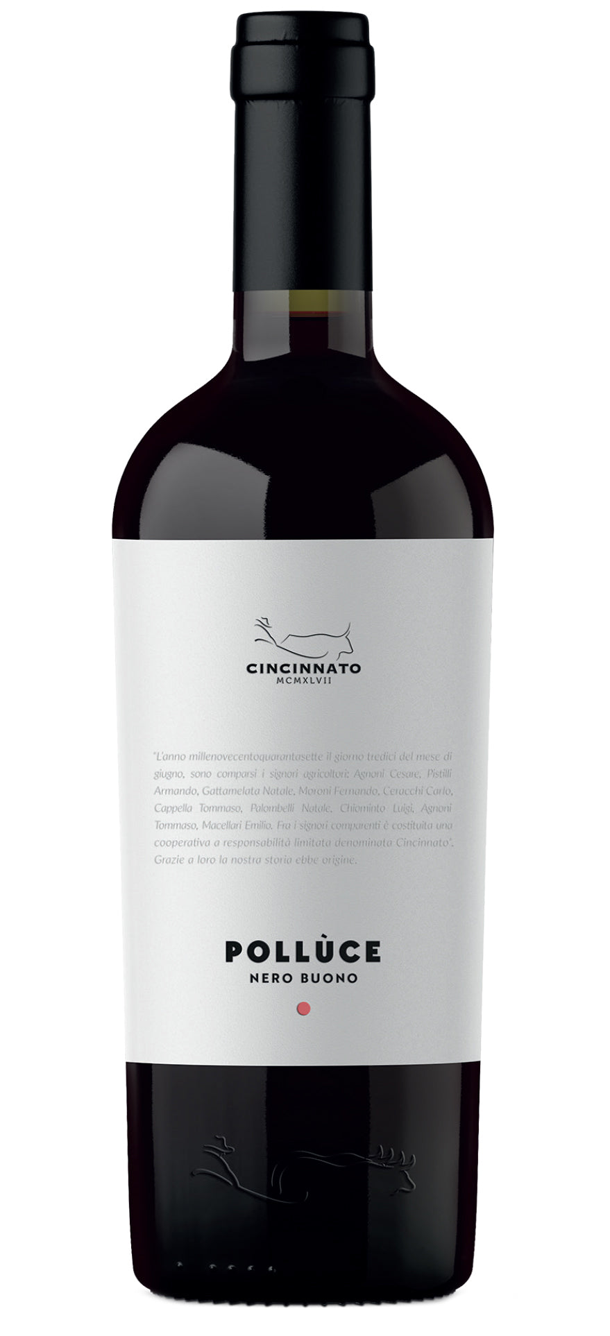 Cantina Cincinnato Lazio Polluce Nero Buono 2022  Front Bottle Shot