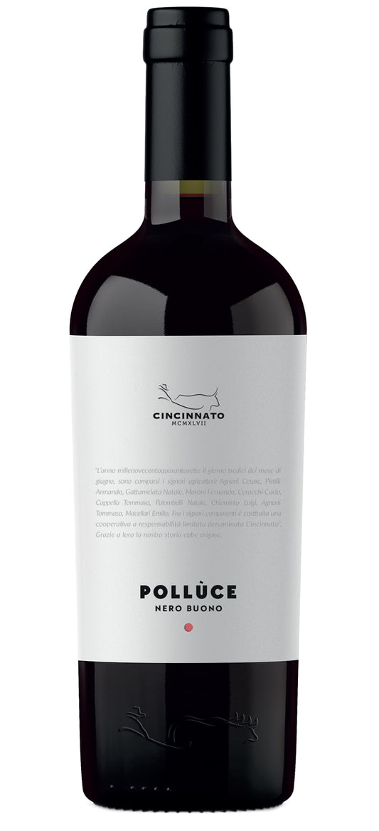 Cantina Cincinnato Lazio Polluce Nero Buono 2022  Front Bottle Shot