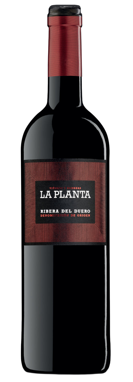 Arzuaga La Planta 2021  Front Bottle Shot