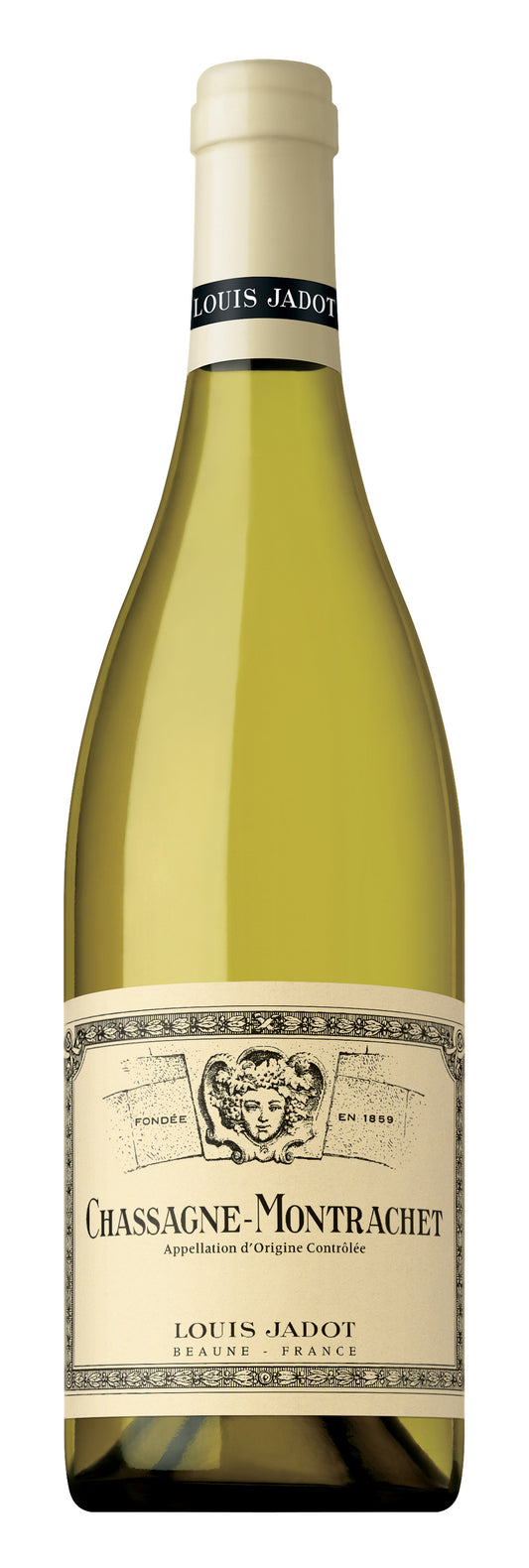 Louis Jadot Chassagne-Montrachet 2022  Front Bottle Shot