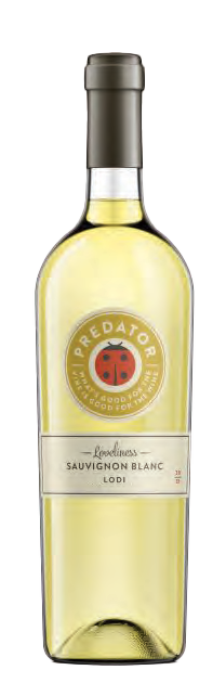 Predator Sauvignon Blanc 2021  Front Bottle Shot