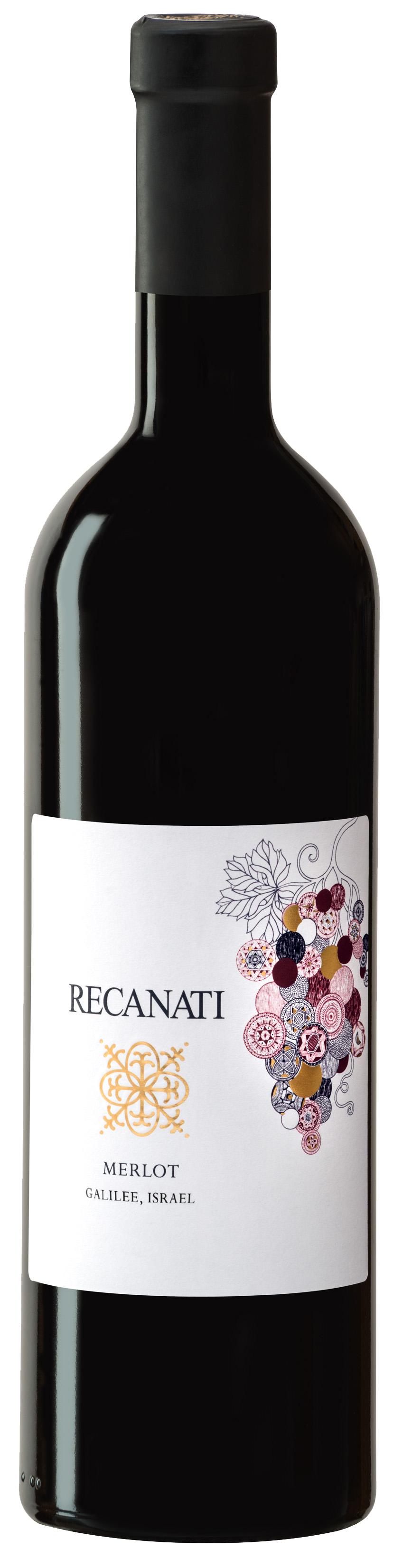 Recanati Galilee Merlot (OU Kosher) 2023  Front Bottle Shot