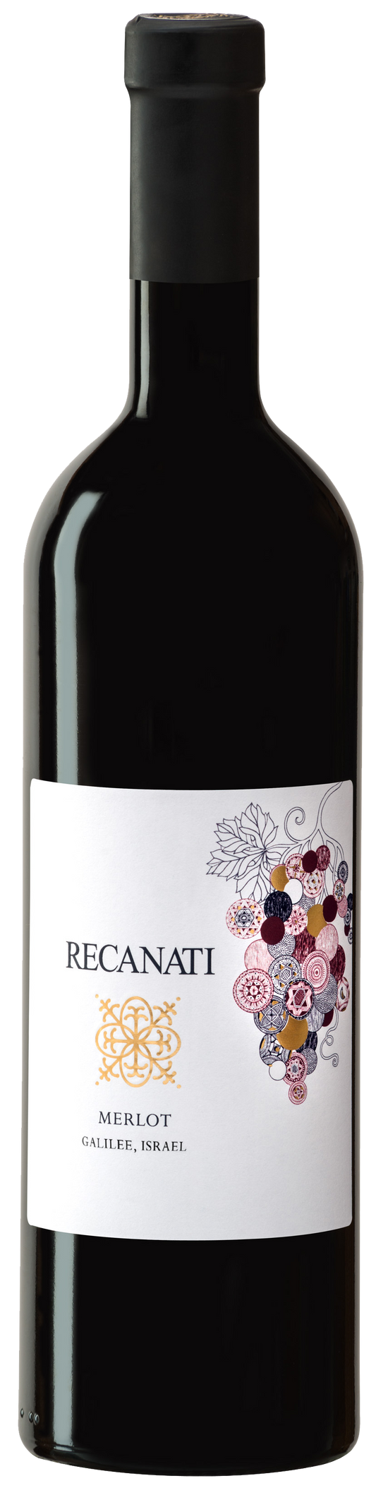 Recanati Galilee Merlot (OU Kosher) 2023  Front Bottle Shot