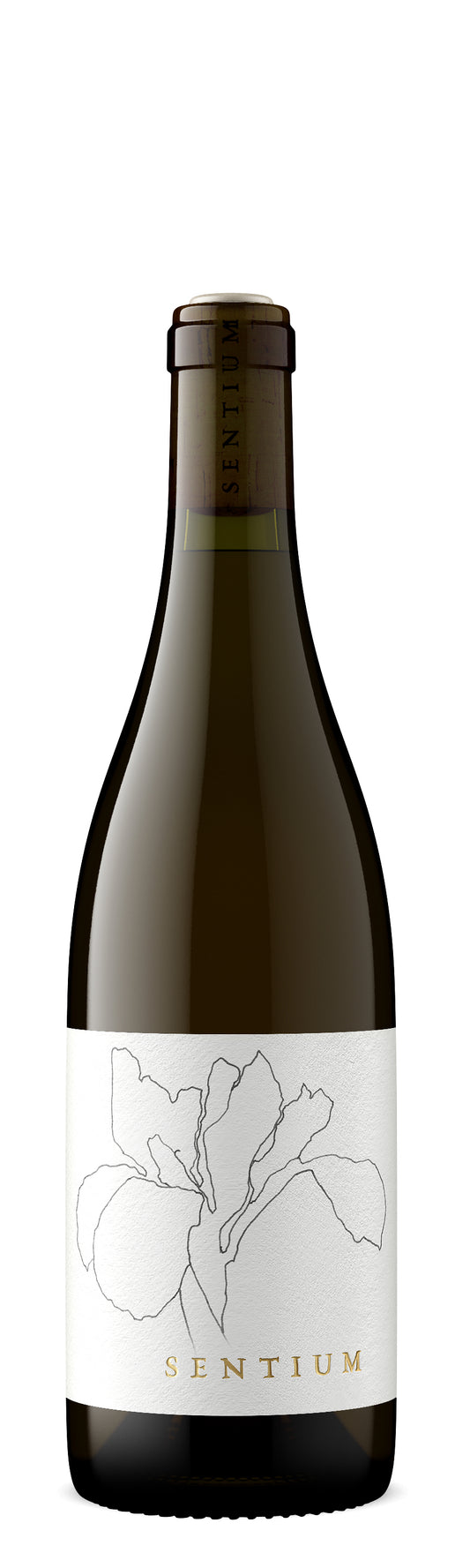 Sentium Sauvignon Blanc 2023  Front Bottle Shot
