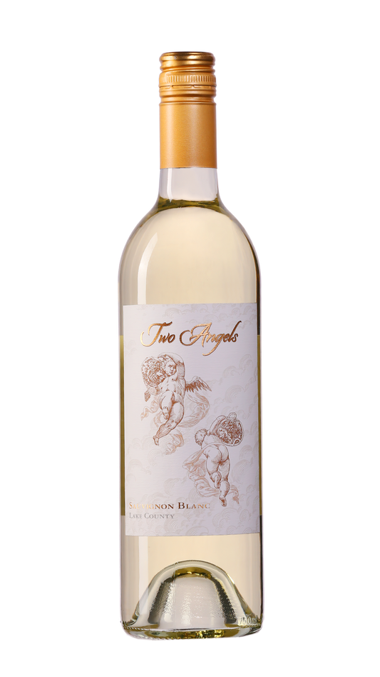 Two Angels Sauvignon Blanc 2023  Front Bottle Shot
