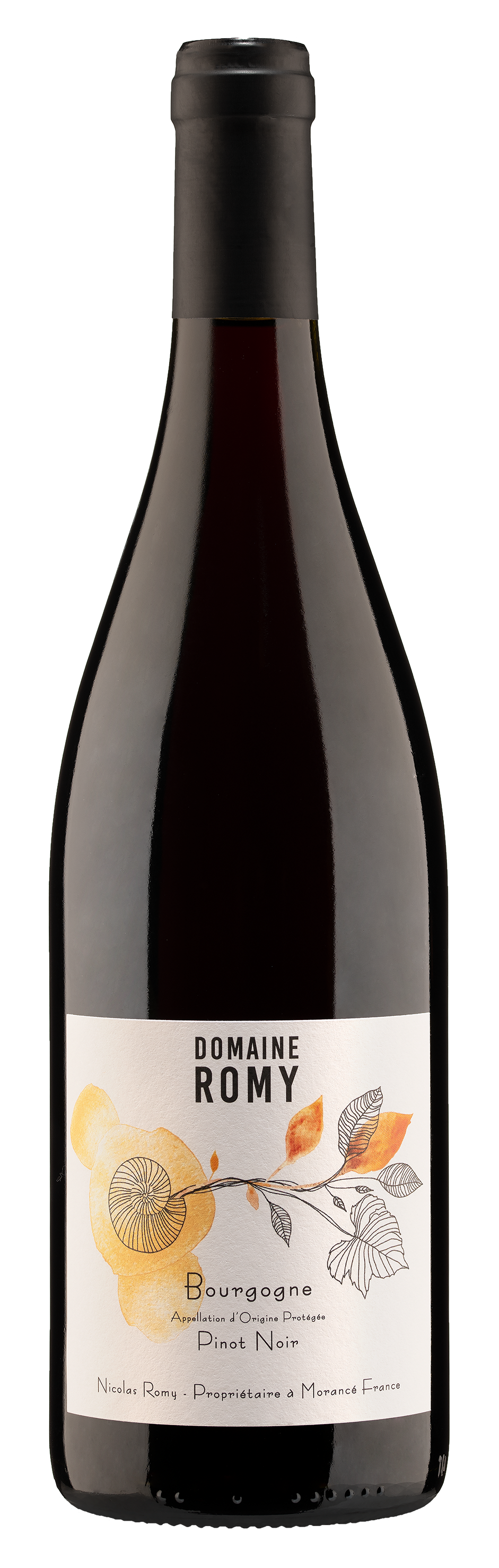 Domaine Romy Bourgogne Pinot Noir 2021  Front Bottle Shot