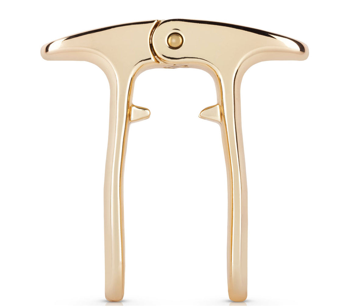 Viski Polished Gold Champagne Puller