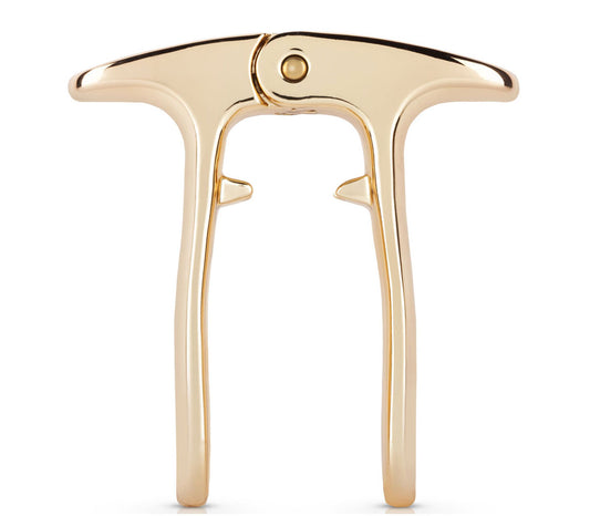 Viski Polished Gold Champagne Puller