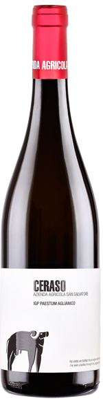 San Salvatore Ceraso Paestum Aglianico 2021  Front Bottle Shot