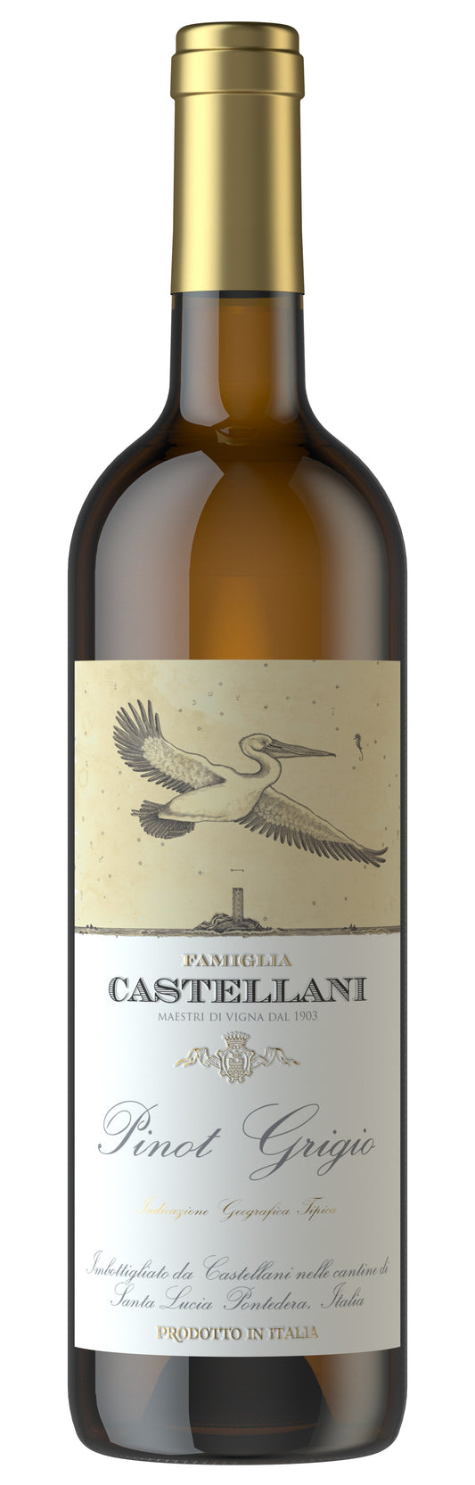 Castellani Pinot Grigio 2023  Front Bottle Shot