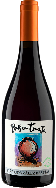 Vina Gonzalez Bastias Tinaja 2022  Front Bottle Shot