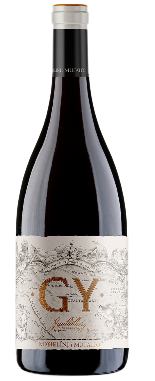 Michelini I Mufatto GY 2021  Front Bottle Shot