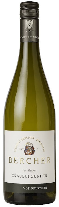 Bercher Jechtinger Grauburgunder Trocken 2022  Front Bottle Shot