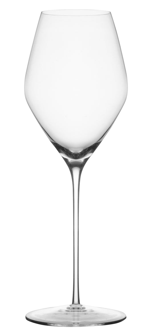 Glasvin Champagne Glasses (Set of 2)