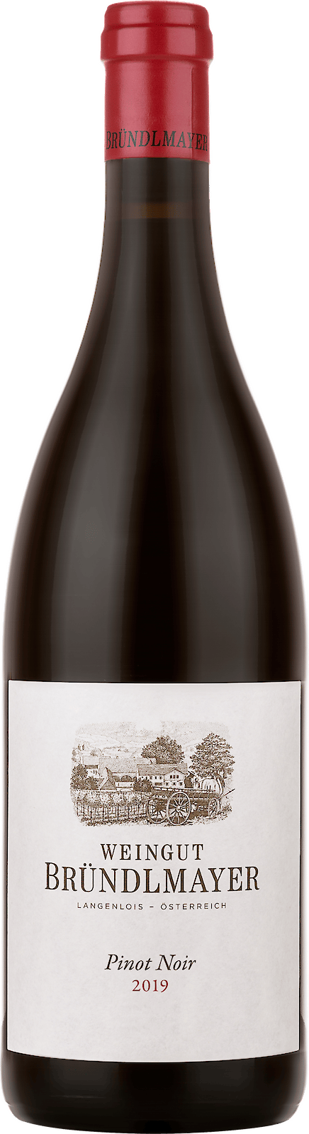 Brundlmayer Pinot Noir 2019  Front Bottle Shot