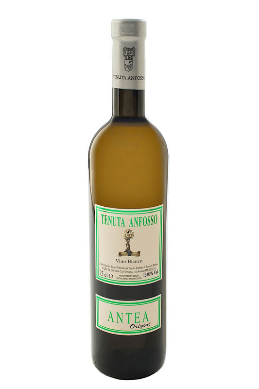 Tenuta Anfosso Antea Vino Bianco 2020  Front Bottle Shot
