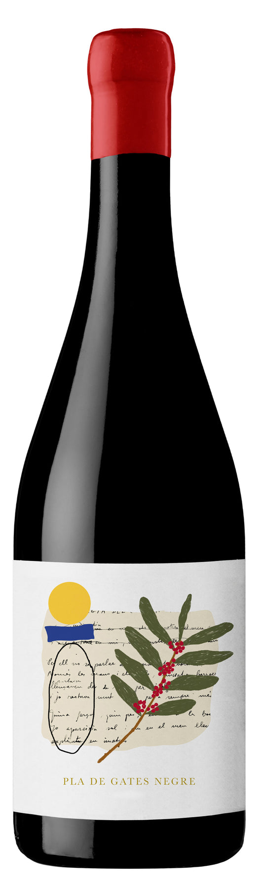 Anna Espelt Pla de Gates Garnacha 2020  Front Bottle Shot