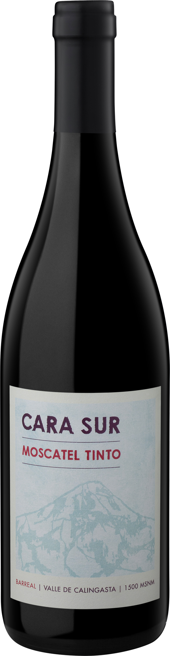 Cara Sur Moscatel Tinto 2022  Front Bottle Shot